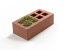 Greenflow-rood-half-gevuld-2423mini.jpg