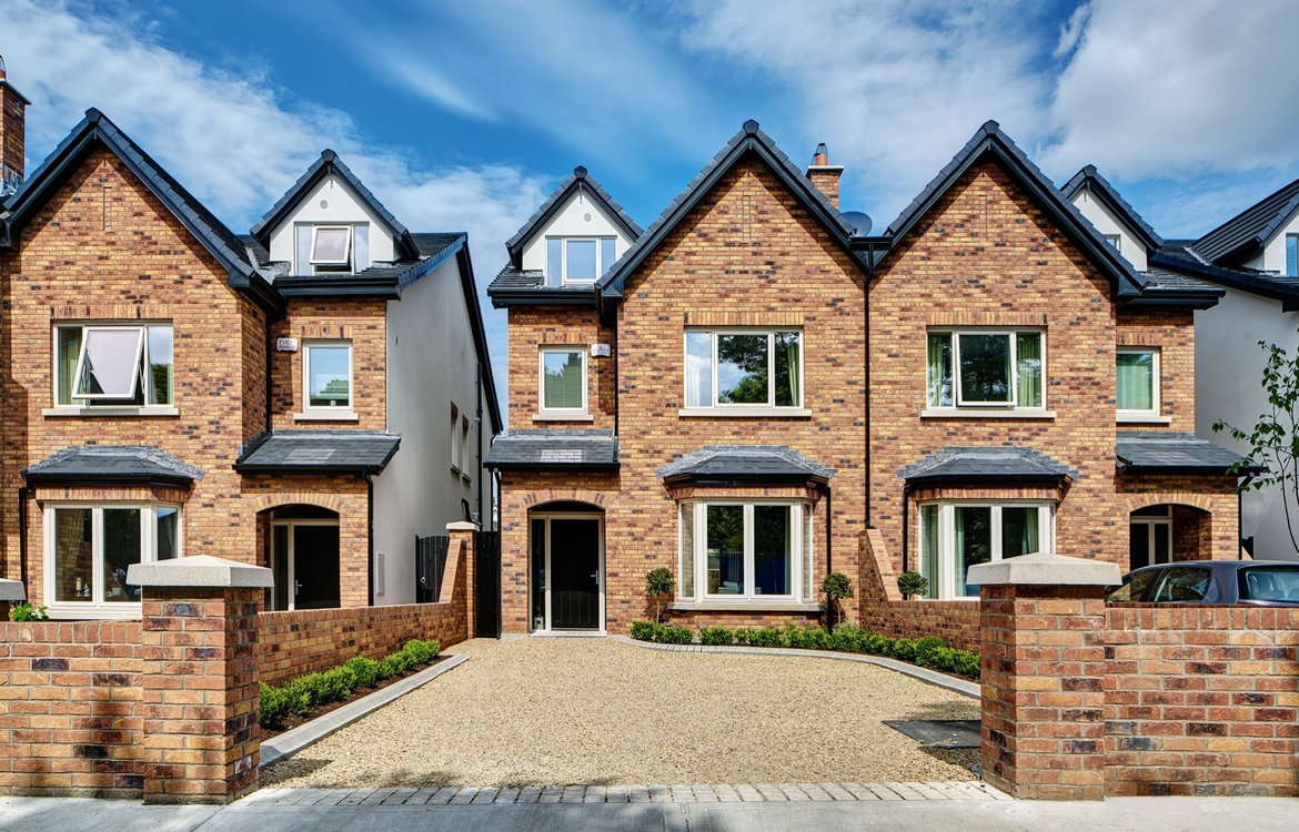 Strippen Hailsham Mixture