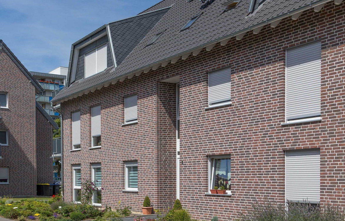 Strippen Flamisch Bunt
