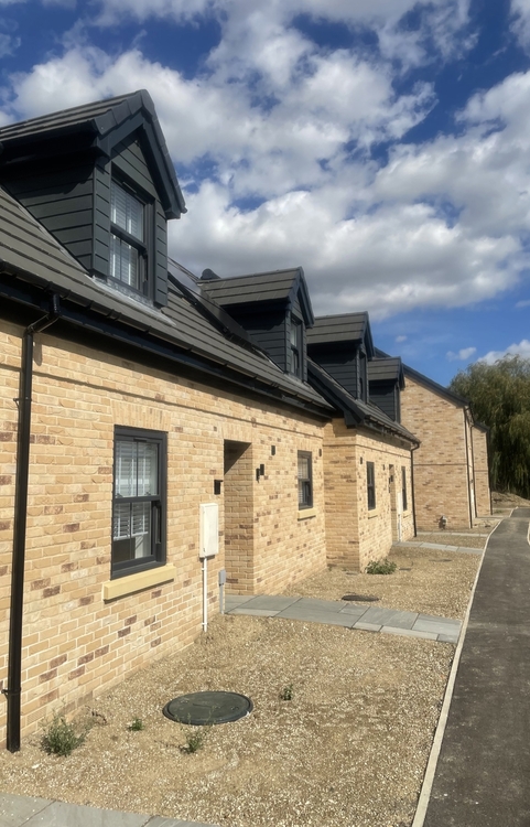 Strippen Caversham Mixture (Eco)