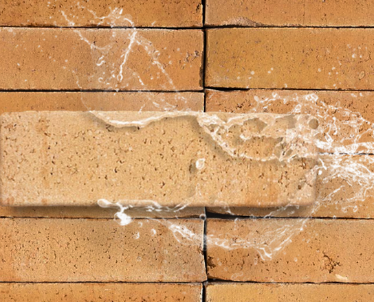 Wasserstrich Gelb: Die Farbe der Entdecker