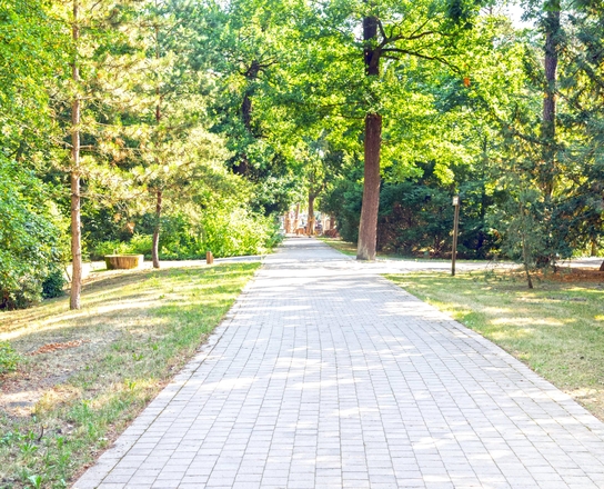 Forest cemetery In den Kisseln, Berlin-Spandau (Germany)