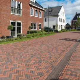 Quartier résidentiel Wilgenrijk à Maassluis (NL)