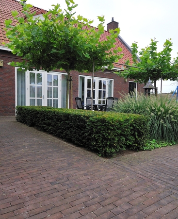 Chemin de jardin à Helmond (NL)
