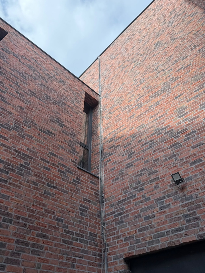 Gevelststeem Rood Viola