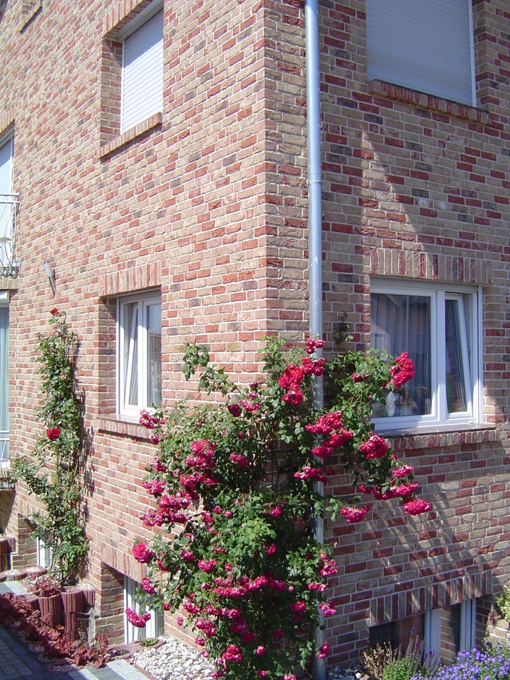 Brick Red Cottage Mixture