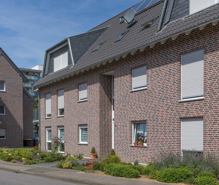 Verblender Violett Flamisch Bunt
