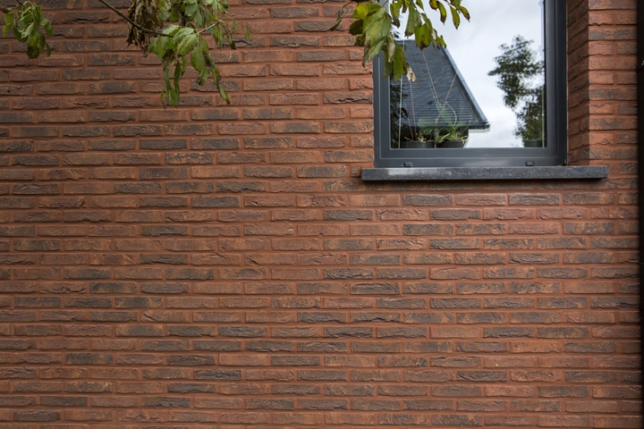 Gevelststeem Paars Parma Woning