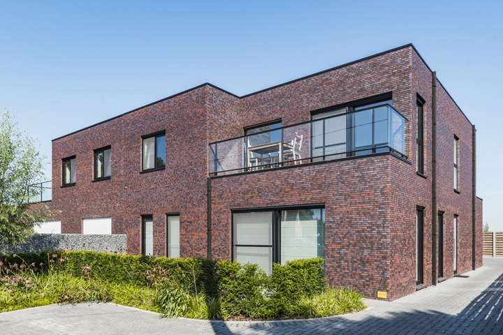 Gevelstenen Rood Greifswald haantjes bassevelde