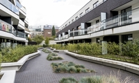 Jardin intérieur Chaussée Saint-Pierre Etterbeek