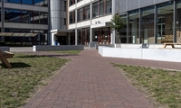 VDS_3_836A7TM_0_Novara Antica_WF_School aan het Schuttershof_Geel_BE_002_MR.jpg