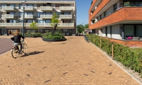 vds_3_738a0_32680_corsica_df85_mix_geesterduinweg_castricum_nl_171_mr.jpg