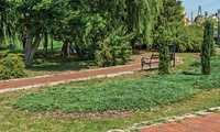 park w pełczycach wyłożony brukiem zittau w odcieniu czerwieni z niebieskimi akcentami