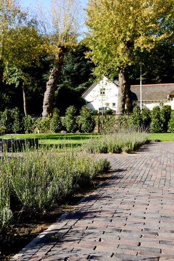 Clay pavers, a sustainable, authentic Dutch product