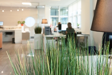 « On ressent le bien-être collectif dans tout ce que fait l'entreprise » 