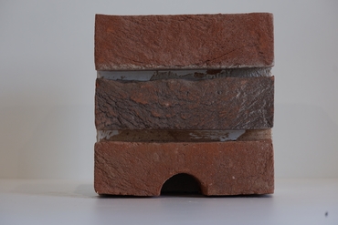 Bat Conservation Solutions