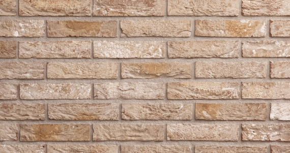 Facing brick used – Anicius 079A0