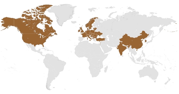Find a distributor near you 