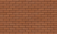 Buchholz