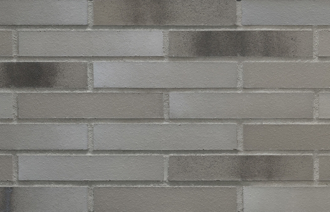 Strippen Steel Rebel (Eco)