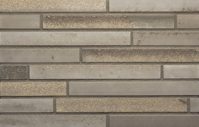 Strippen Golden Grey (Eco)
