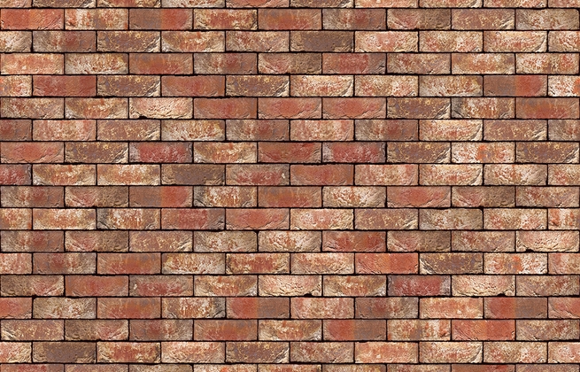 Strippen Leonora