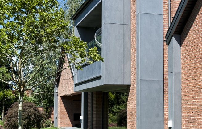 Strippen Heidebloem
