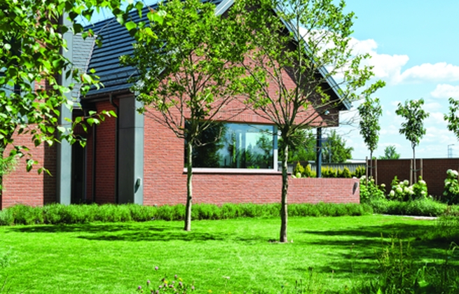 Strippen Heidebloem