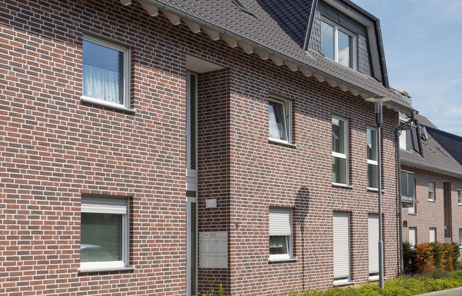 Strippen Flamisch Bunt