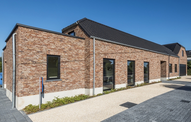 Strippen Oud Maasland