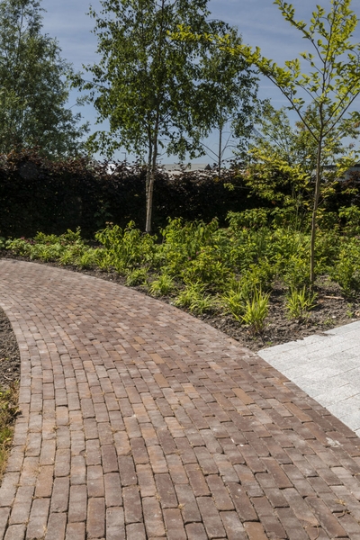 12 conseils clés pour un jardin durable